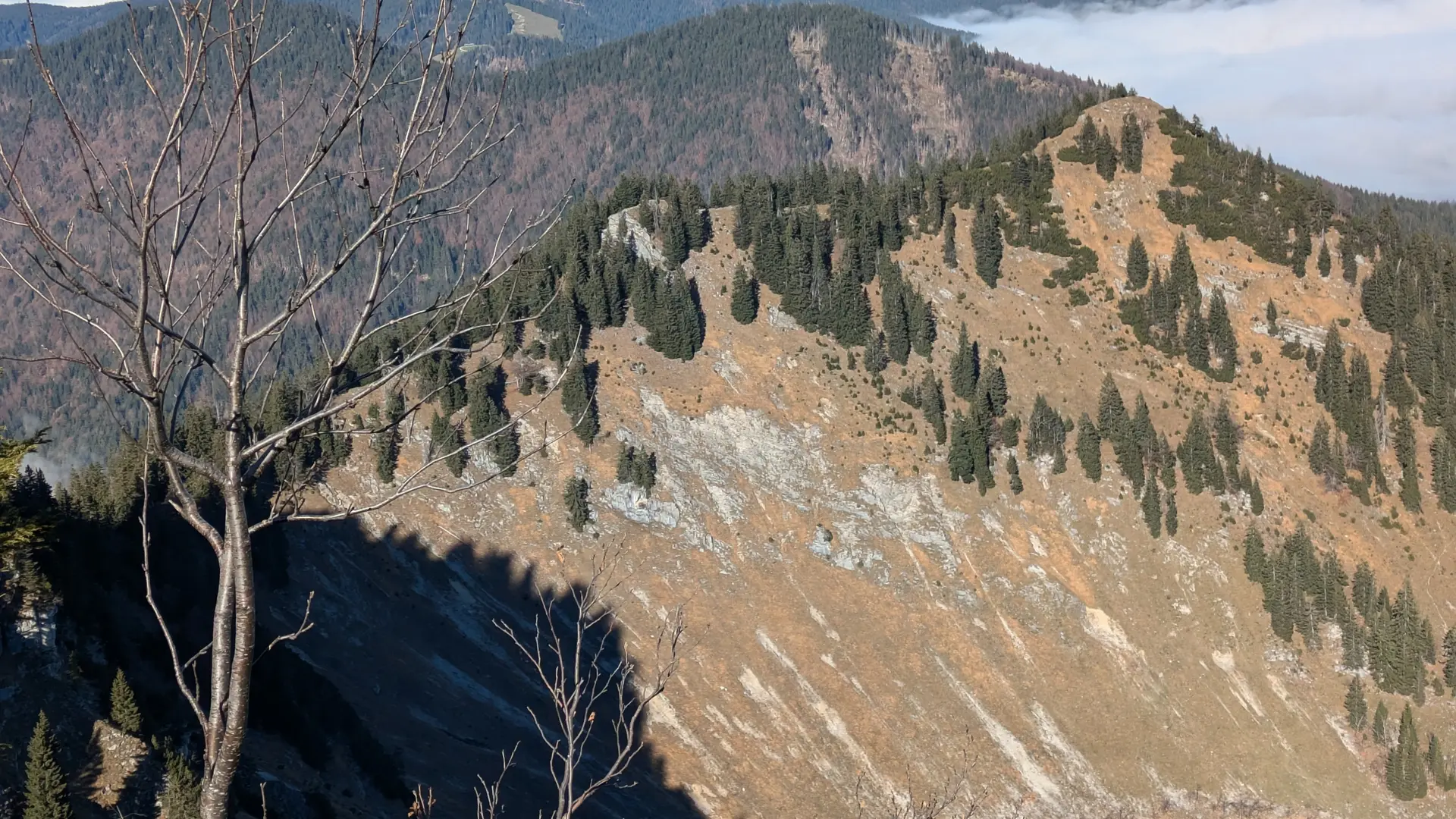Bodenschneid Gratweg | © Robert Marchart