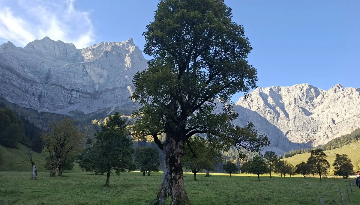 © Risto Griesang