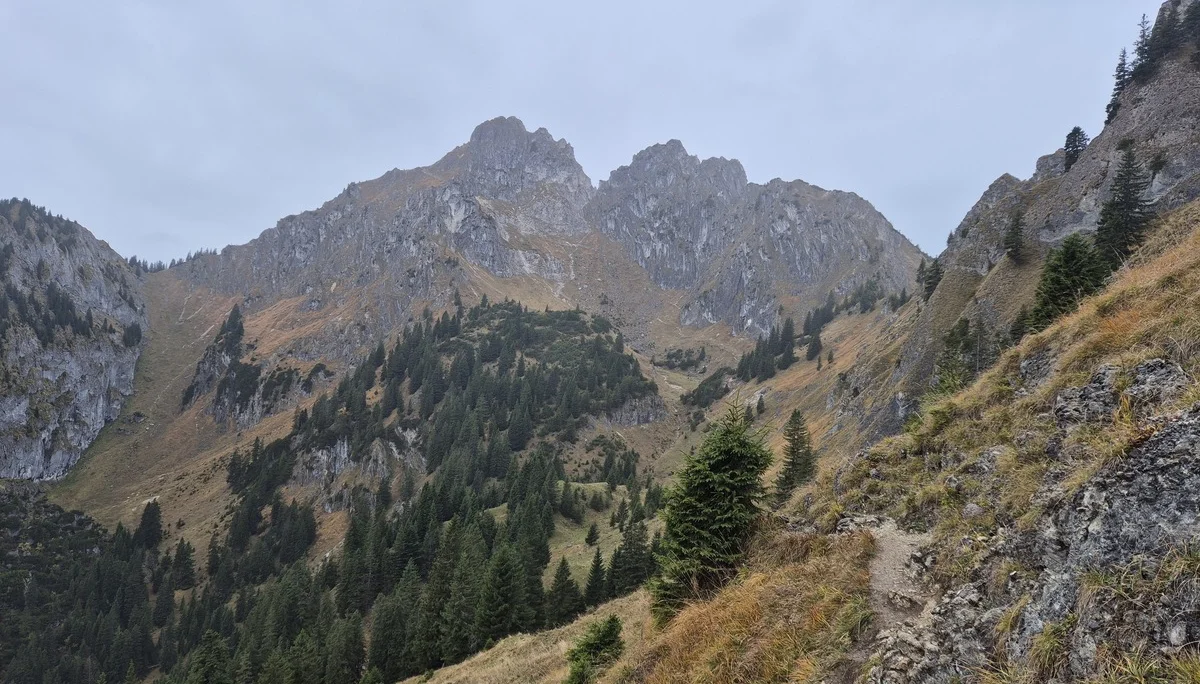 © Manfred Stegmiller