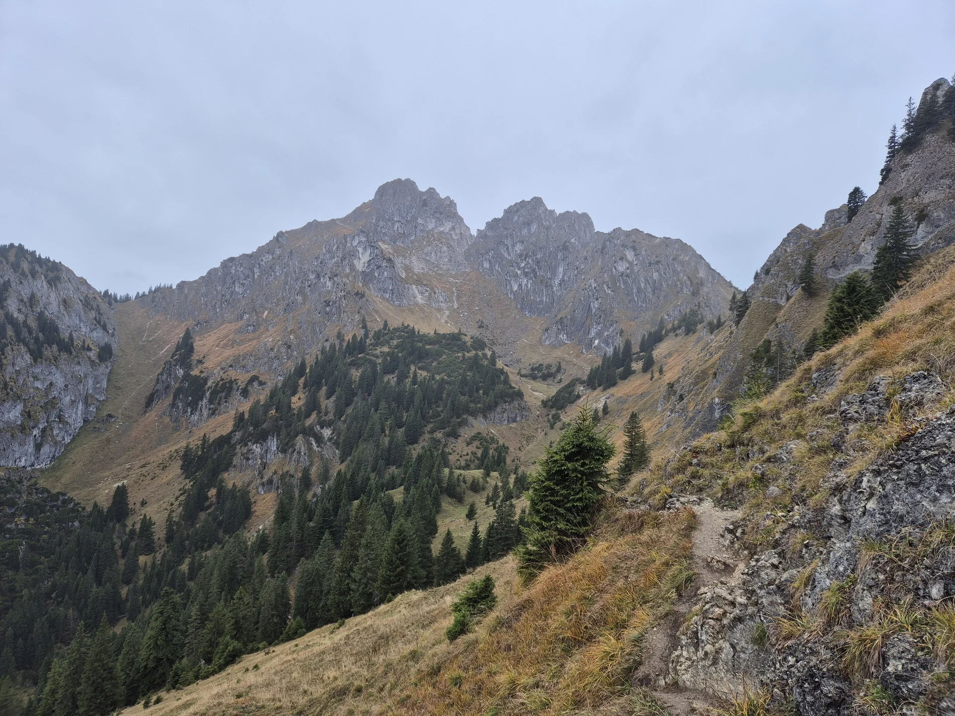 © Manfred Stegmiller