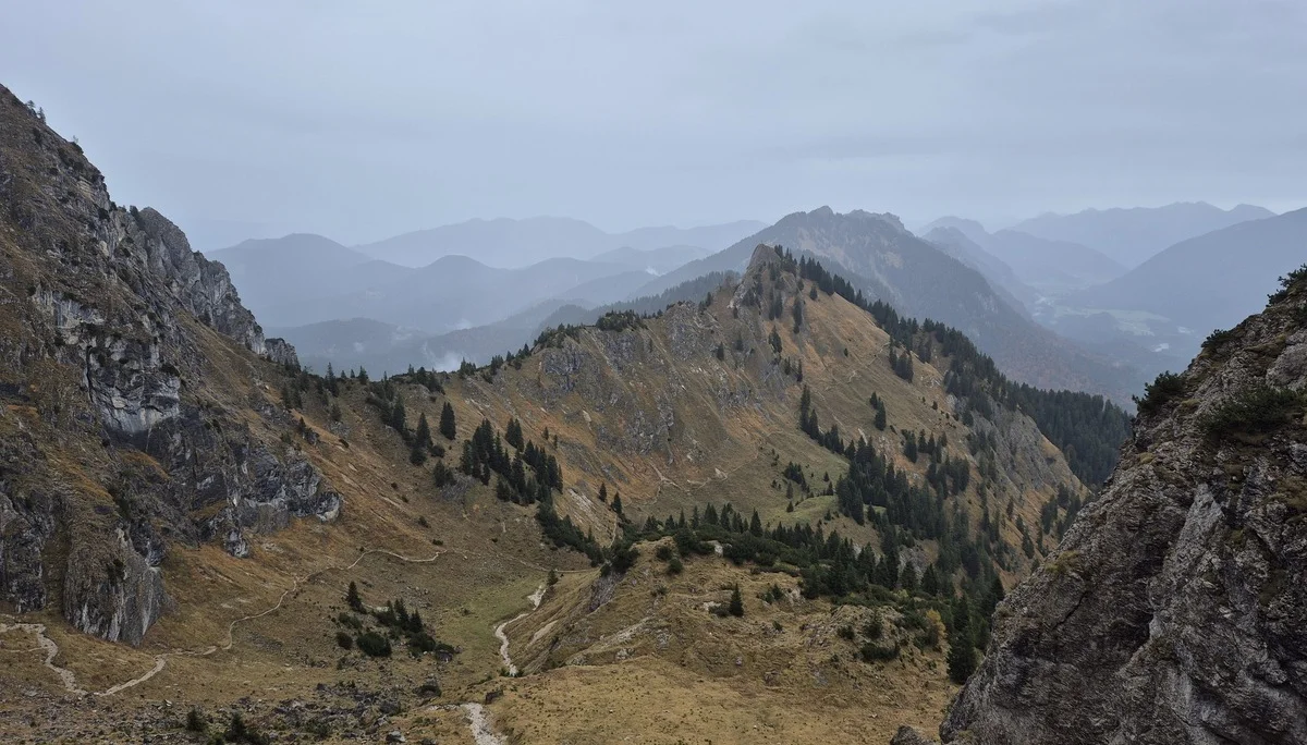 © Manfred Stegmiller