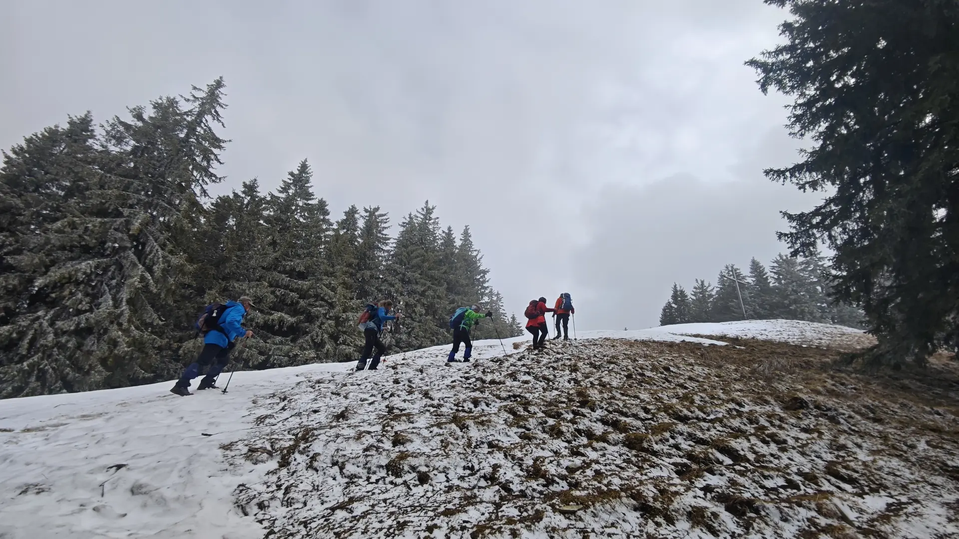 © Manfred Stegmiller