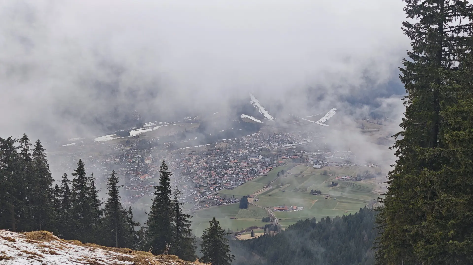 © Manfred Stegmiller