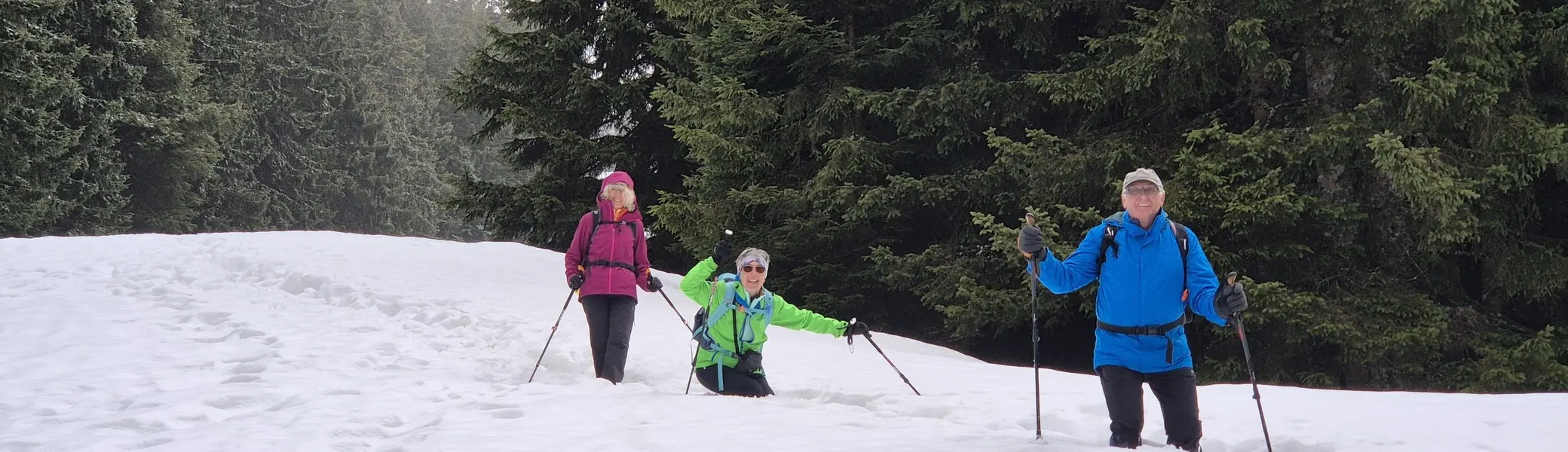 © Manfred Stegmiller