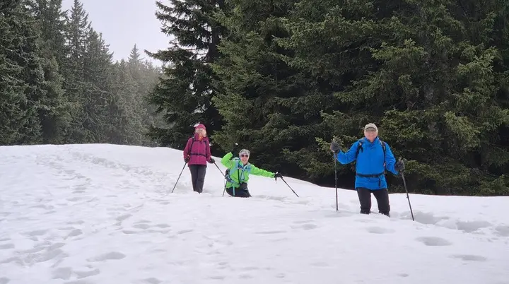 © Manfred Stegmiller