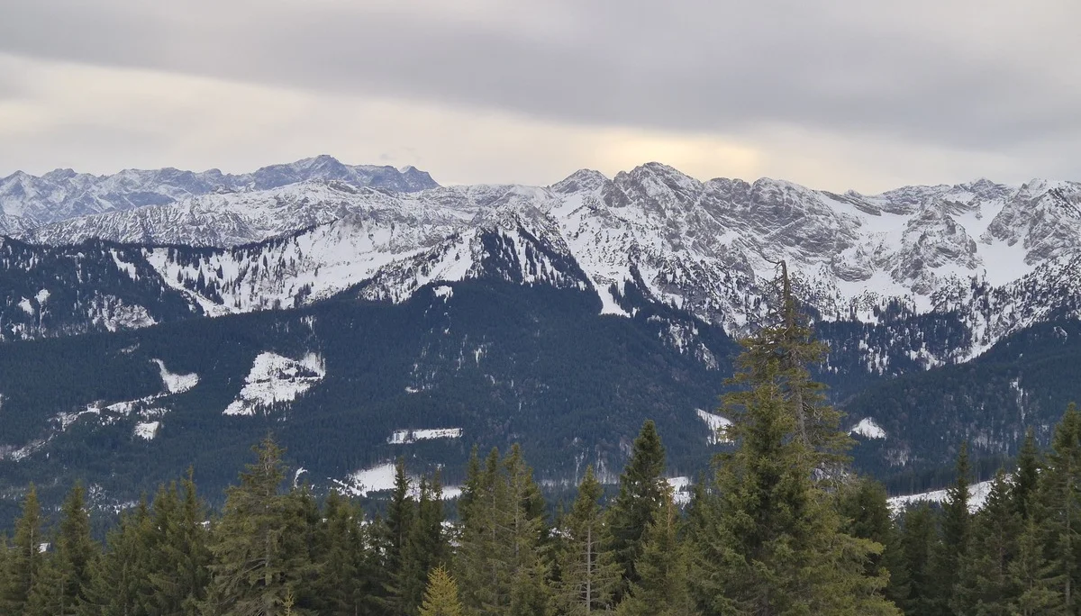 © Manfred Stegmiller