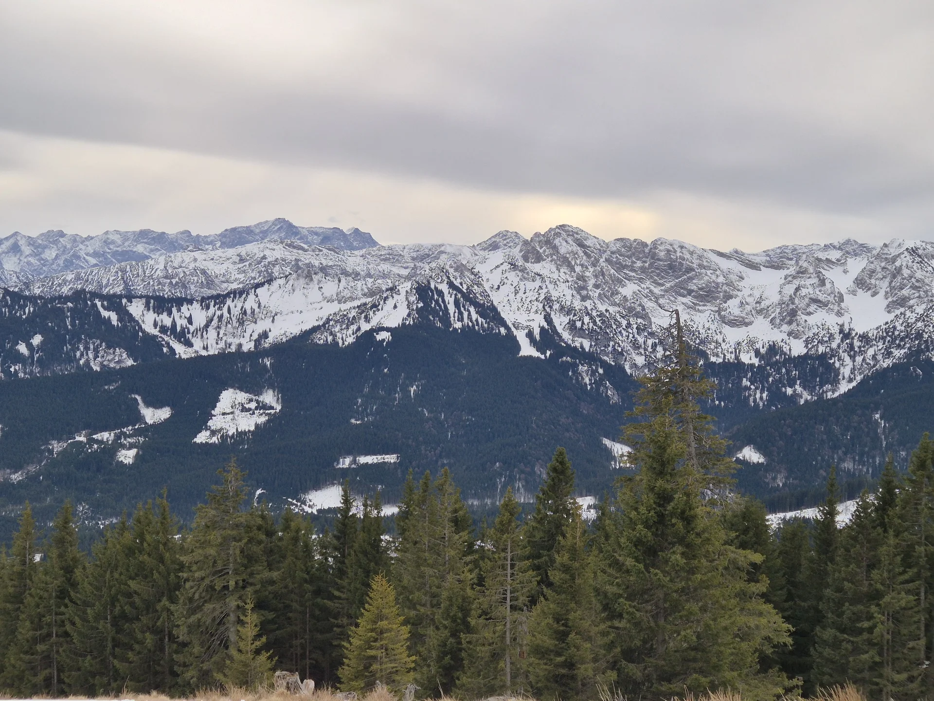 © Manfred Stegmiller