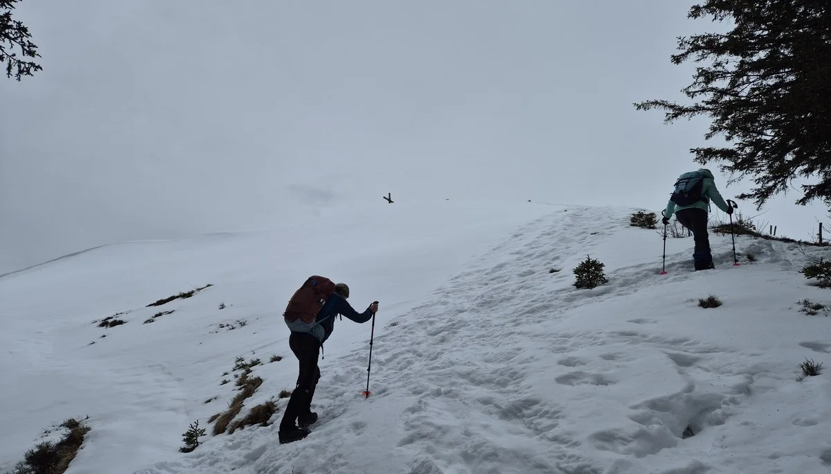 © Manfred Stegmiller