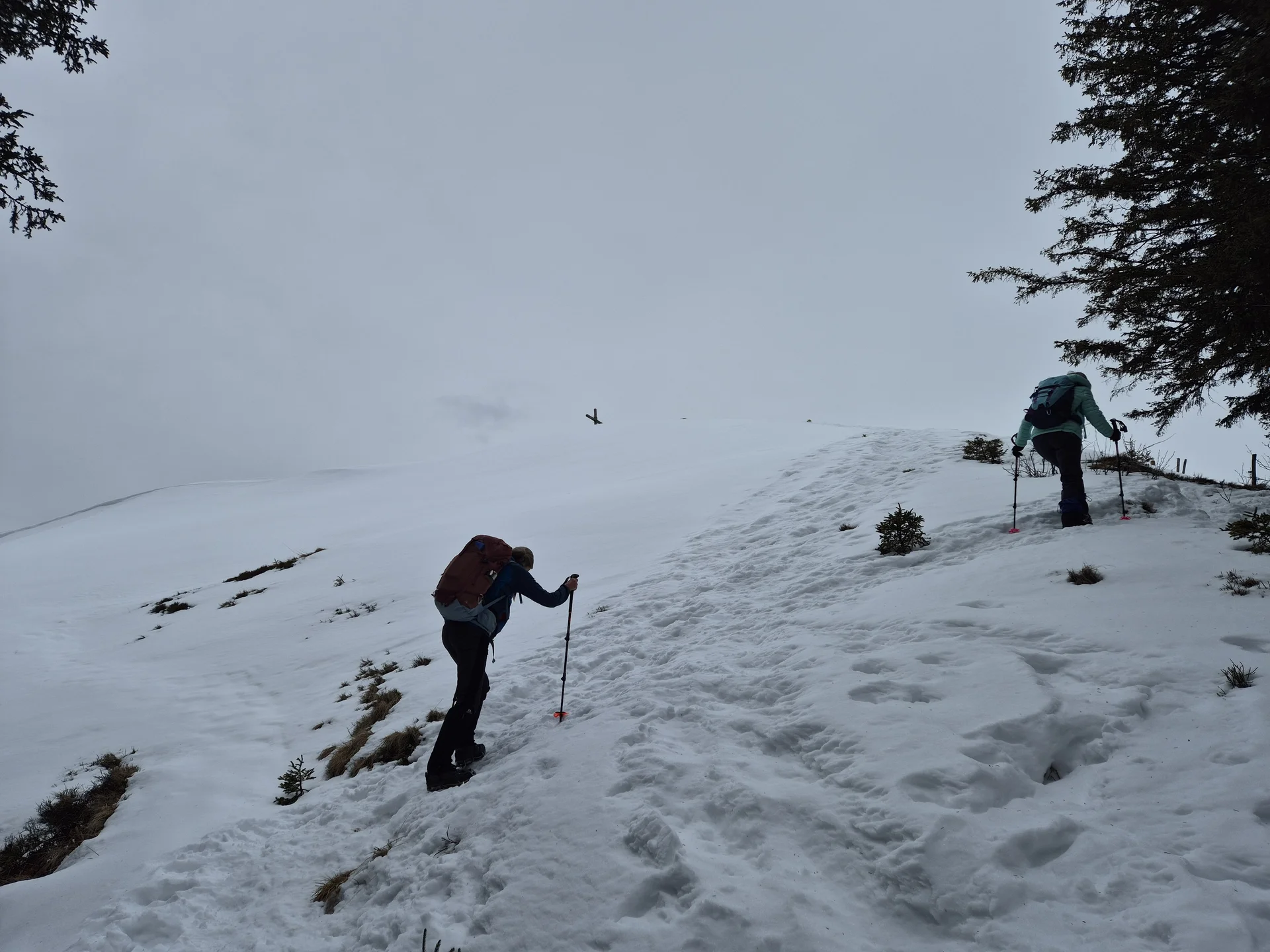 © Manfred Stegmiller