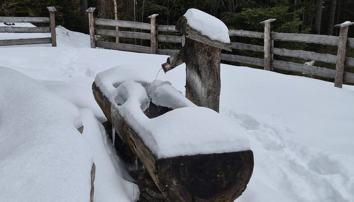 © Manfred Stegmiller