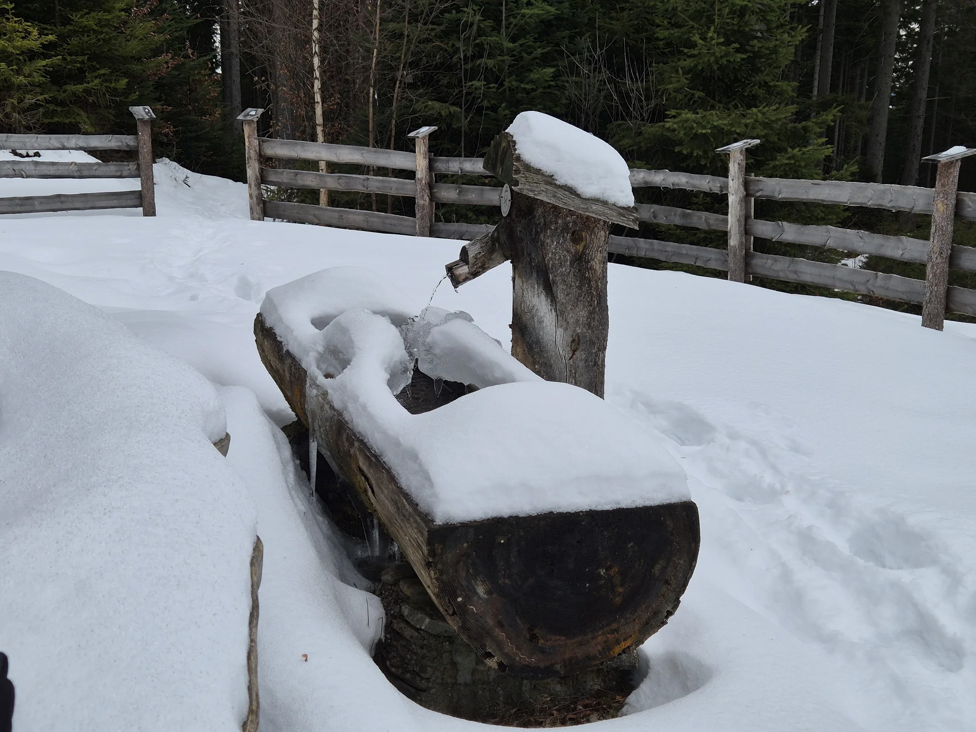 © Manfred Stegmiller