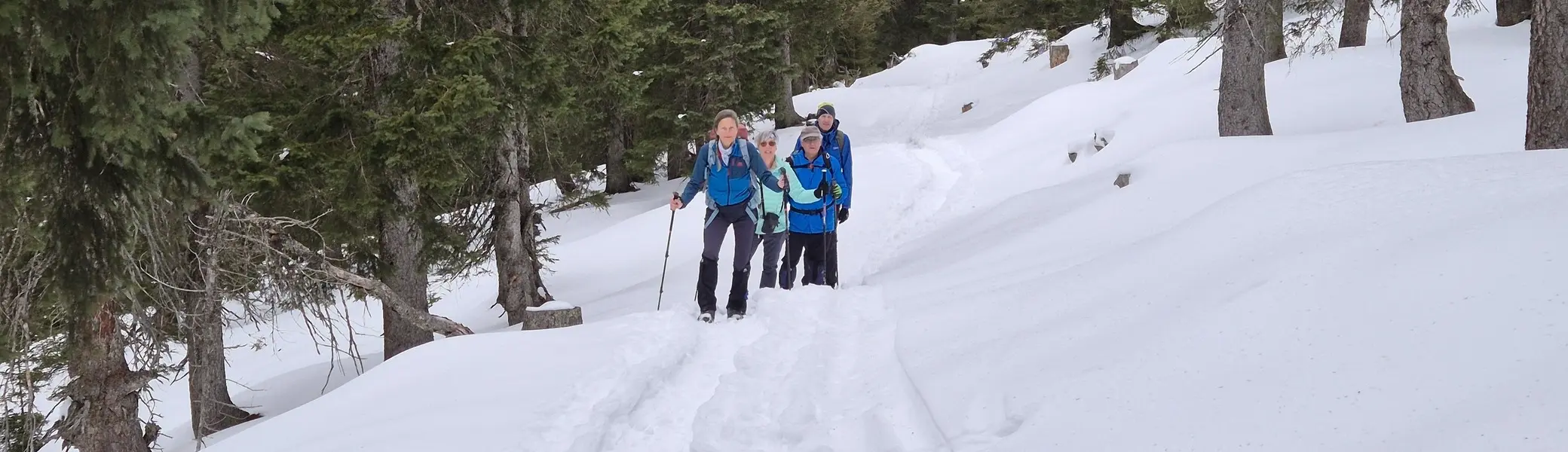 © Manfred Stegmiller