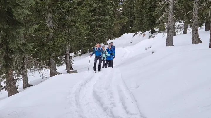 © Manfred Stegmiller