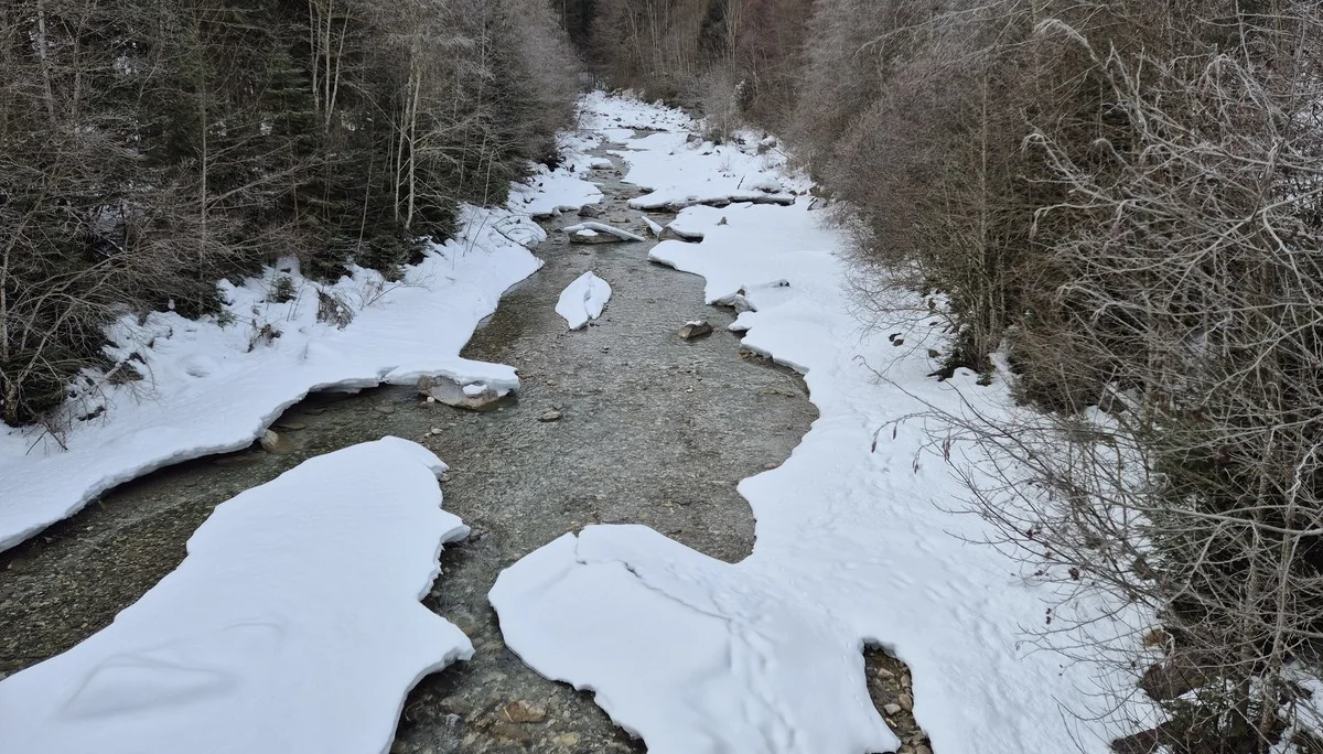 © Manfred Stegmiller