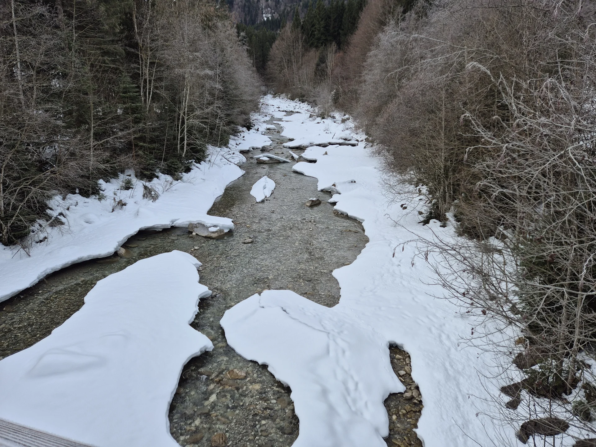 © Manfred Stegmiller