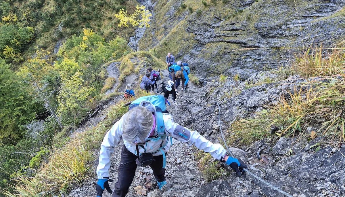 © Manfred Stegmiller