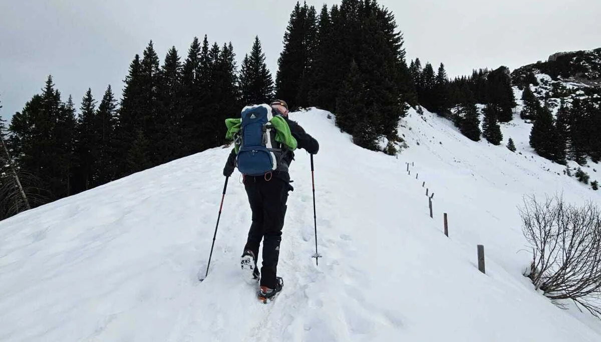 © Manfred Stegmiller