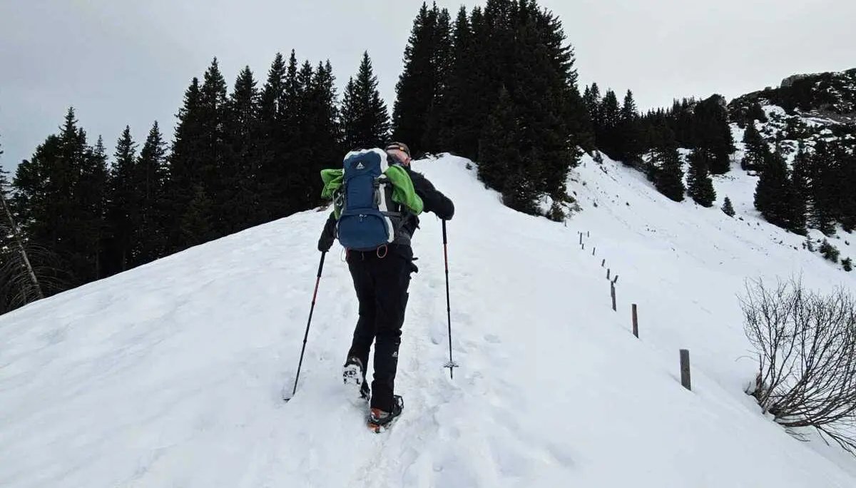 © Manfred Stegmiller