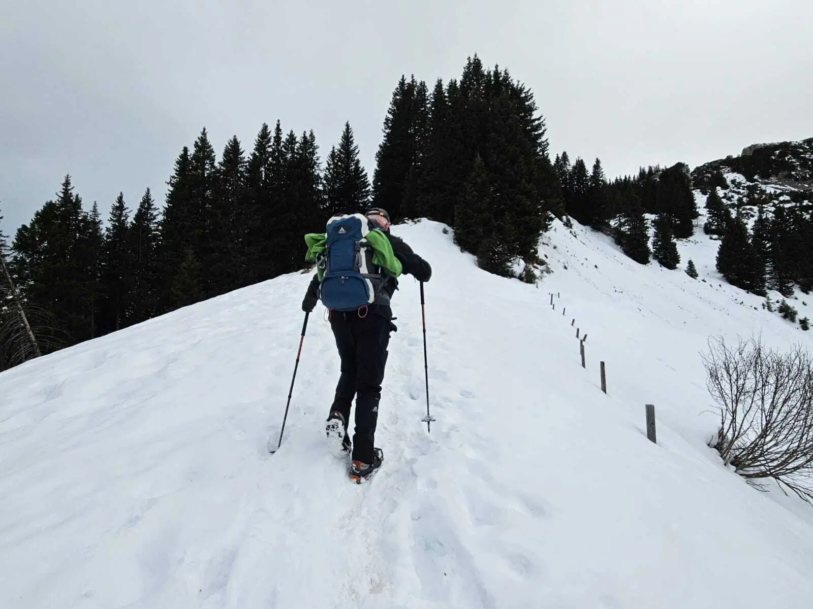 © Manfred Stegmiller