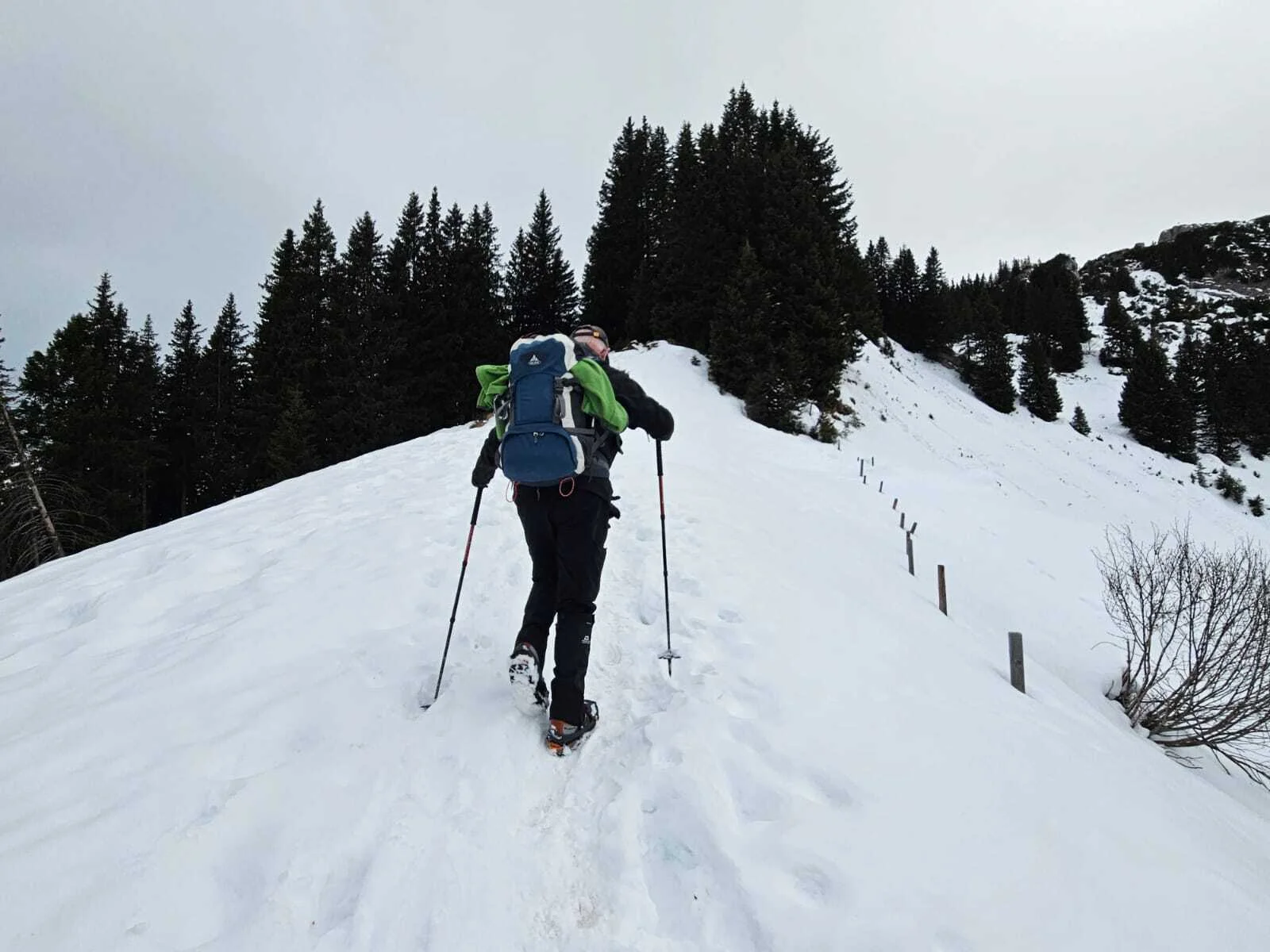 © Manfred Stegmiller