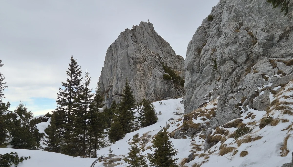 © Manfred Stegmiller