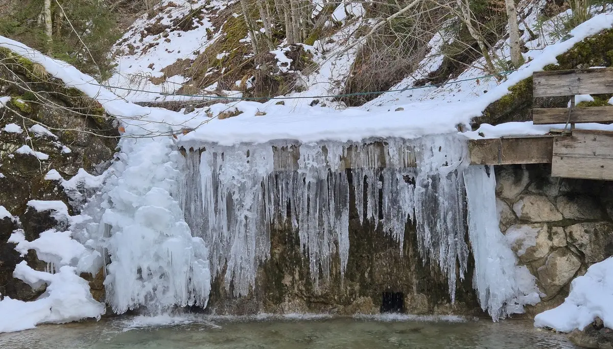 © Manfred Stegmiller