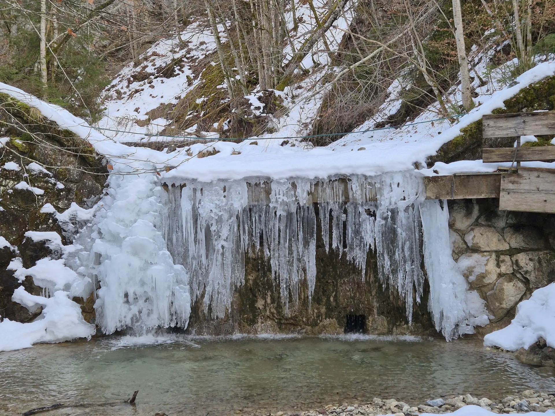 © Manfred Stegmiller