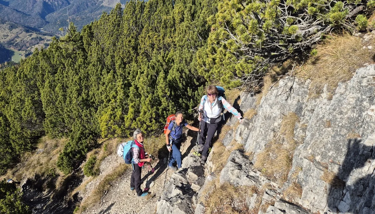 © Manfred Stegmiller