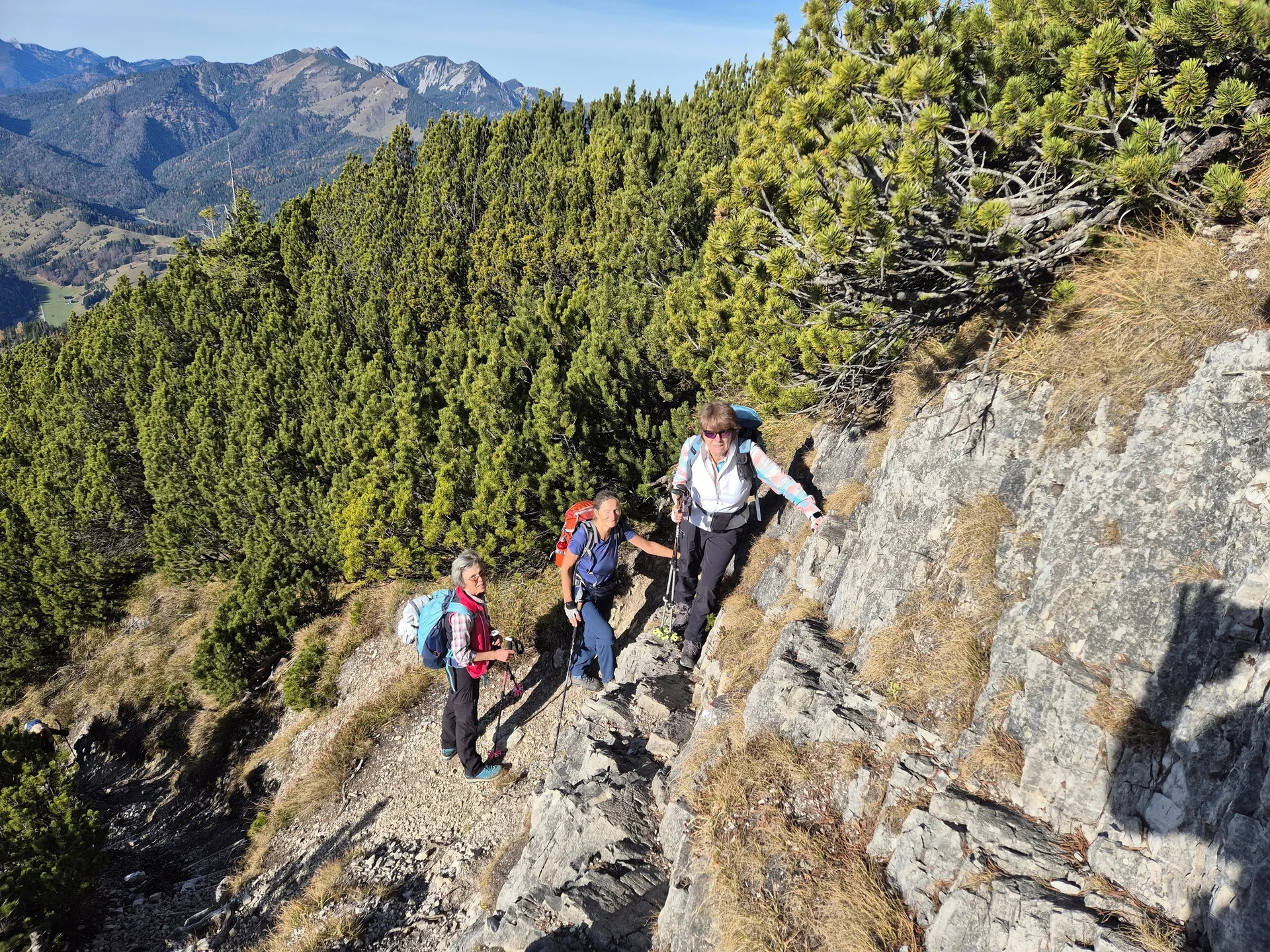 © Manfred Stegmiller