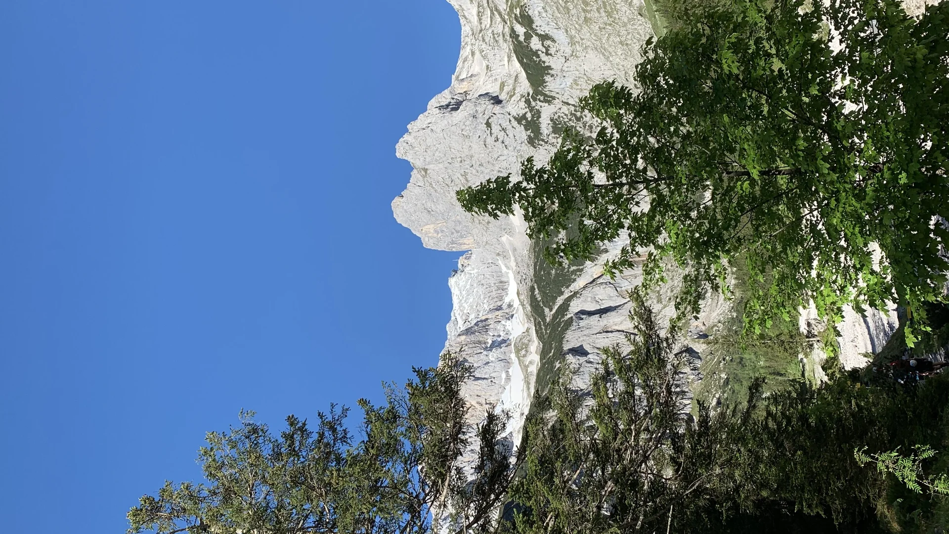 © Uwe Wütherich © Uwe Wütherich