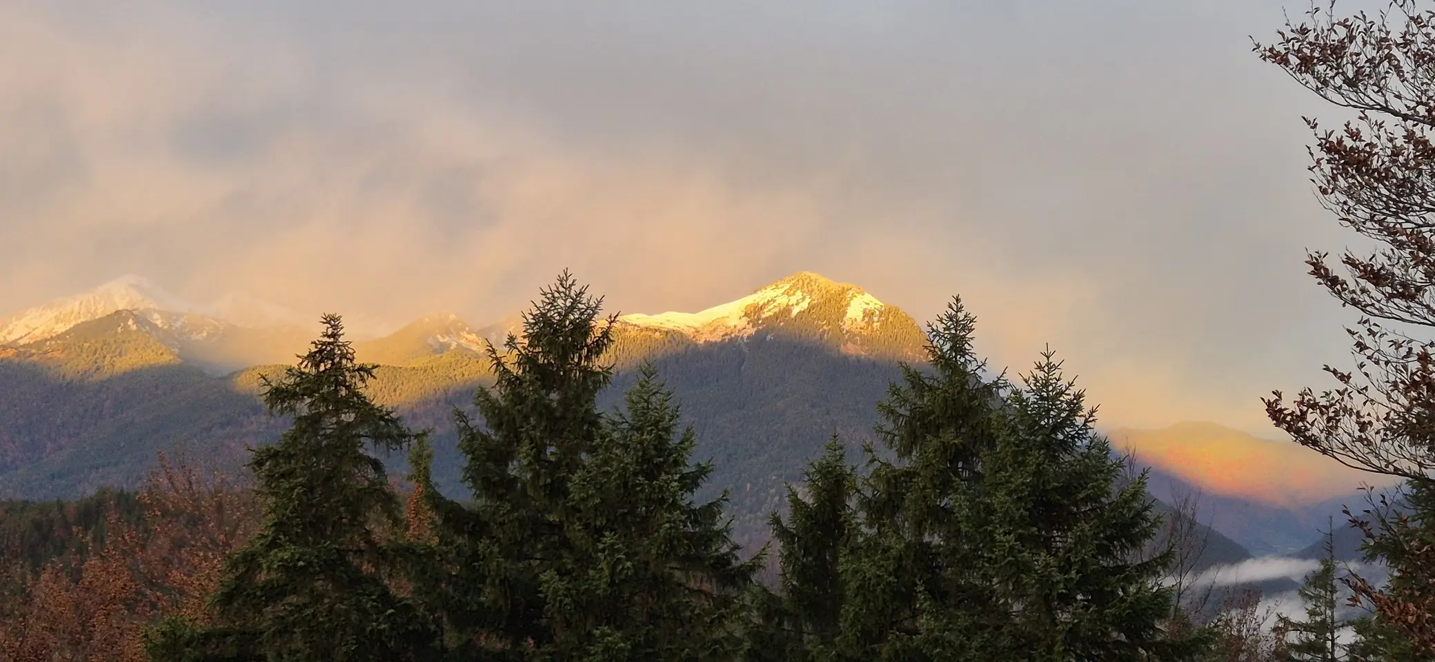 © Christian Gerlich