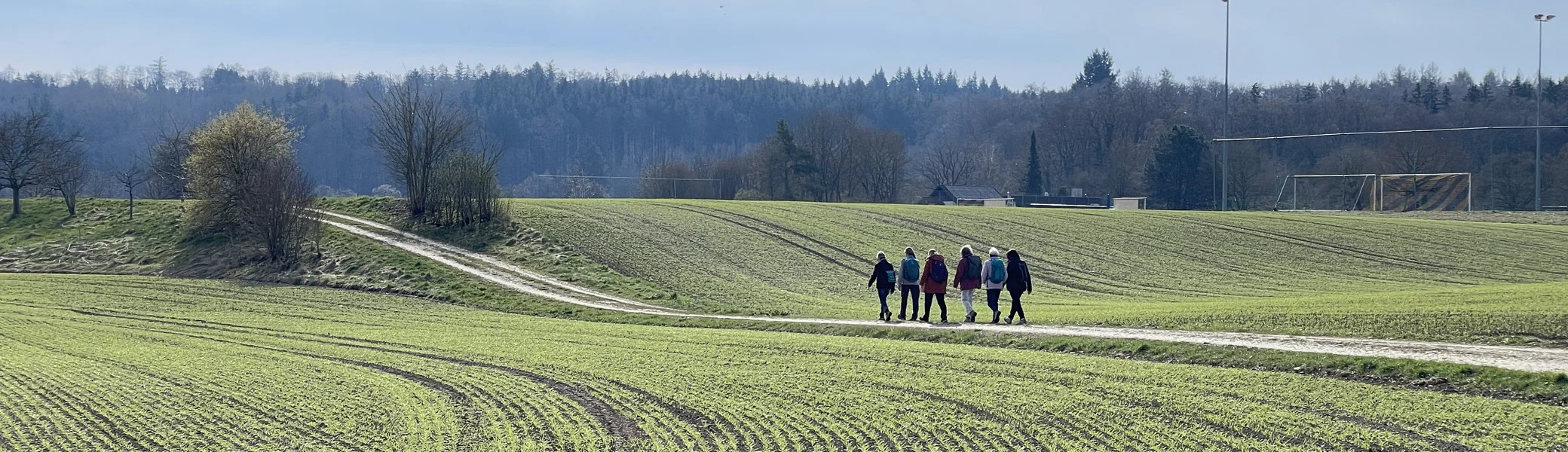 © Manfred Stegmiller