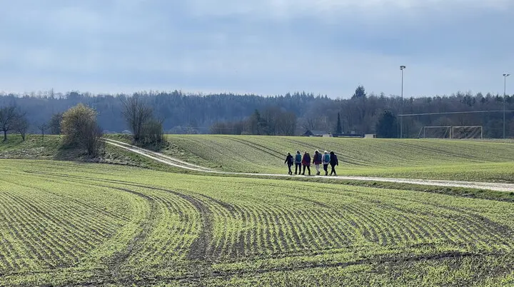 © Manfred Stegmiller