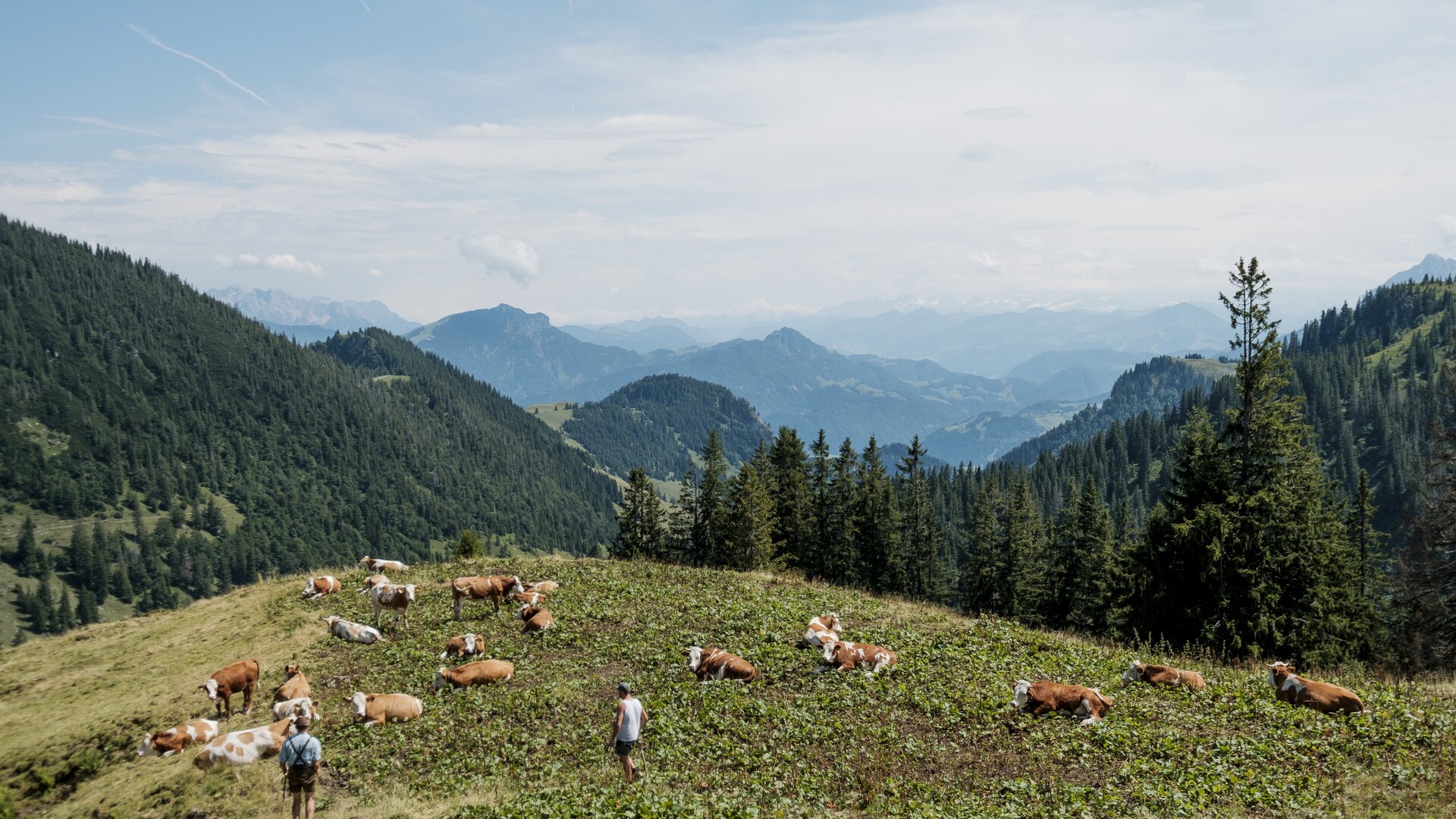 © DAV/Hans Herbig © DAV/Hans Herbig