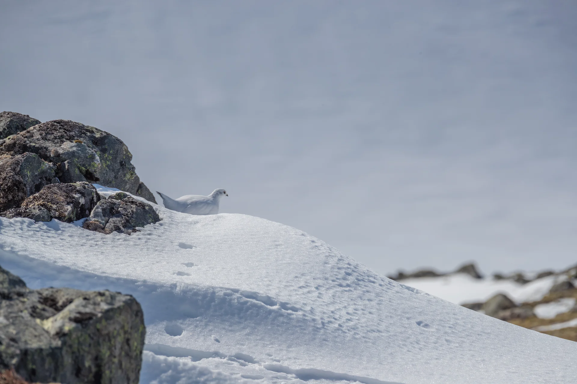 © DAV/Karl Seidl