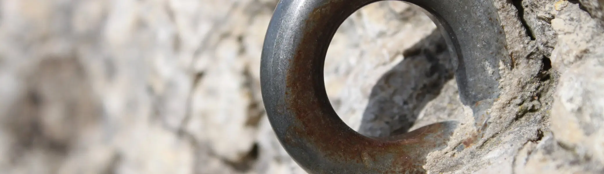 Sicherungsring in den Feld gehauen | © DAV/Steffen Reich