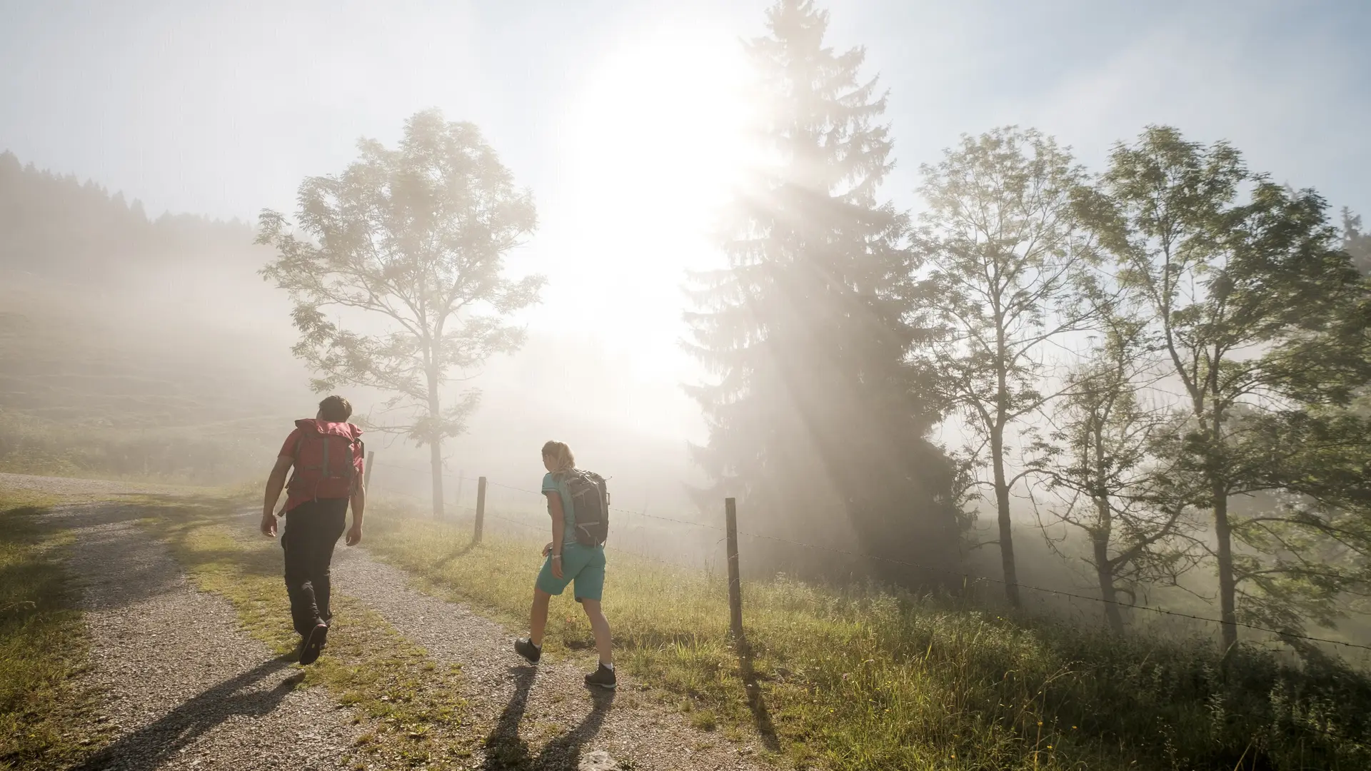 Gemeinsamer Aufstieg bei Sonnenaufgang - die Sonne scheint durch den Nebel | © DAV/Hans Herbig