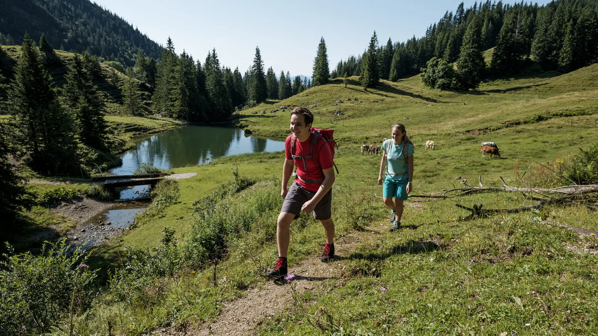 Zwei Wanderer auf einem Bergpfad in den Chiemgauer Alpen | © DAV/Hans Herbig