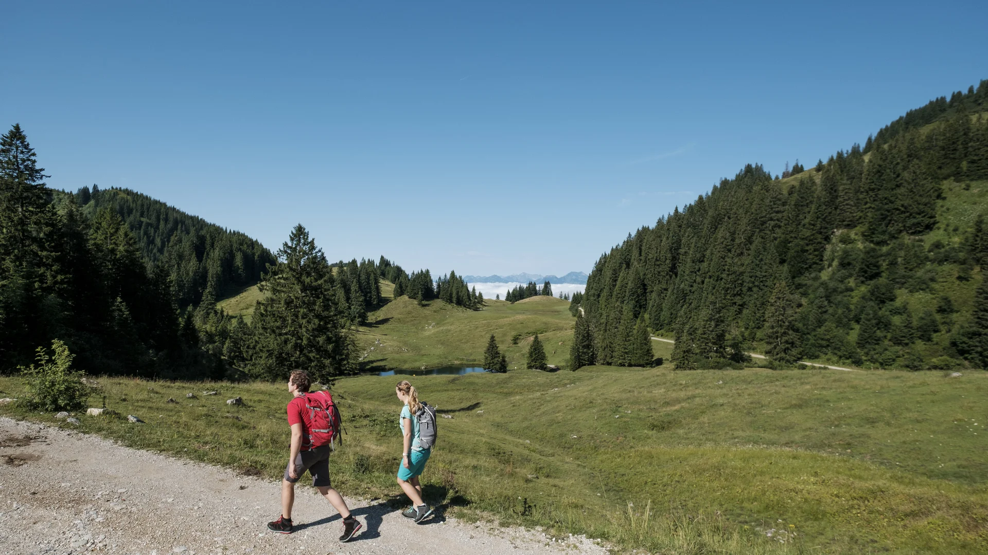 Wandern in den Chiemgauer Bergen | © DAV/Hans Herbig Zwei Wanderer auf einem Bergpfad in den Chiemgauer Alpen | © DAV/Hans Herbig