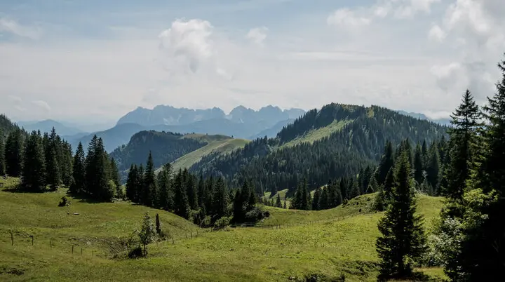 Bergwiesen in den Chiemgauer Alpen | © DAV/Hans Herbig