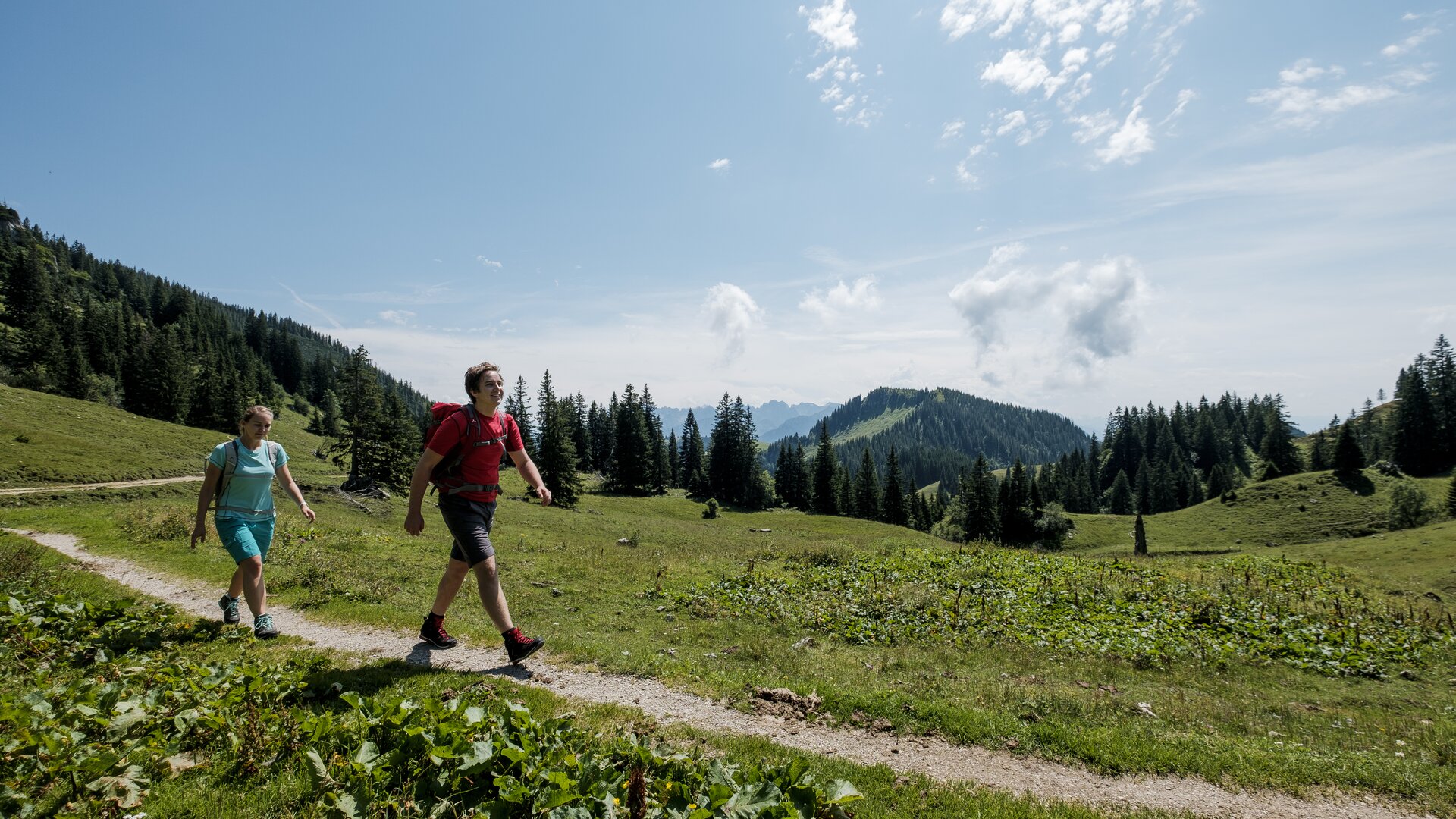 Wandern in den Chiemgauer Bergen | © DAV/Hans Herbig Zwei Wanderer auf einem Bergpfad in den Chiemgauer Alpen | © DAV/Hans Herbig