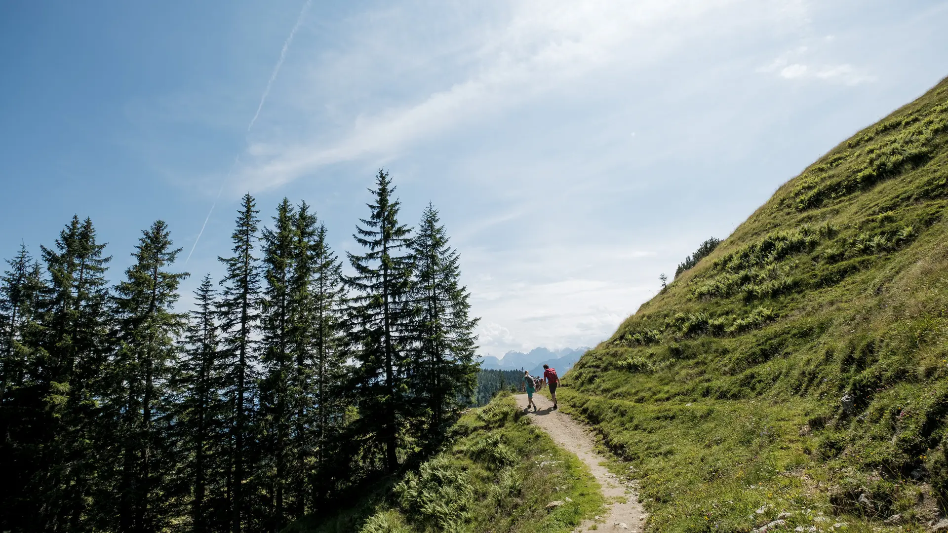 Zwei Wanderer auf einem Bergpfad in den Chiemgauer Alpen | © DAV/Hans Herbig