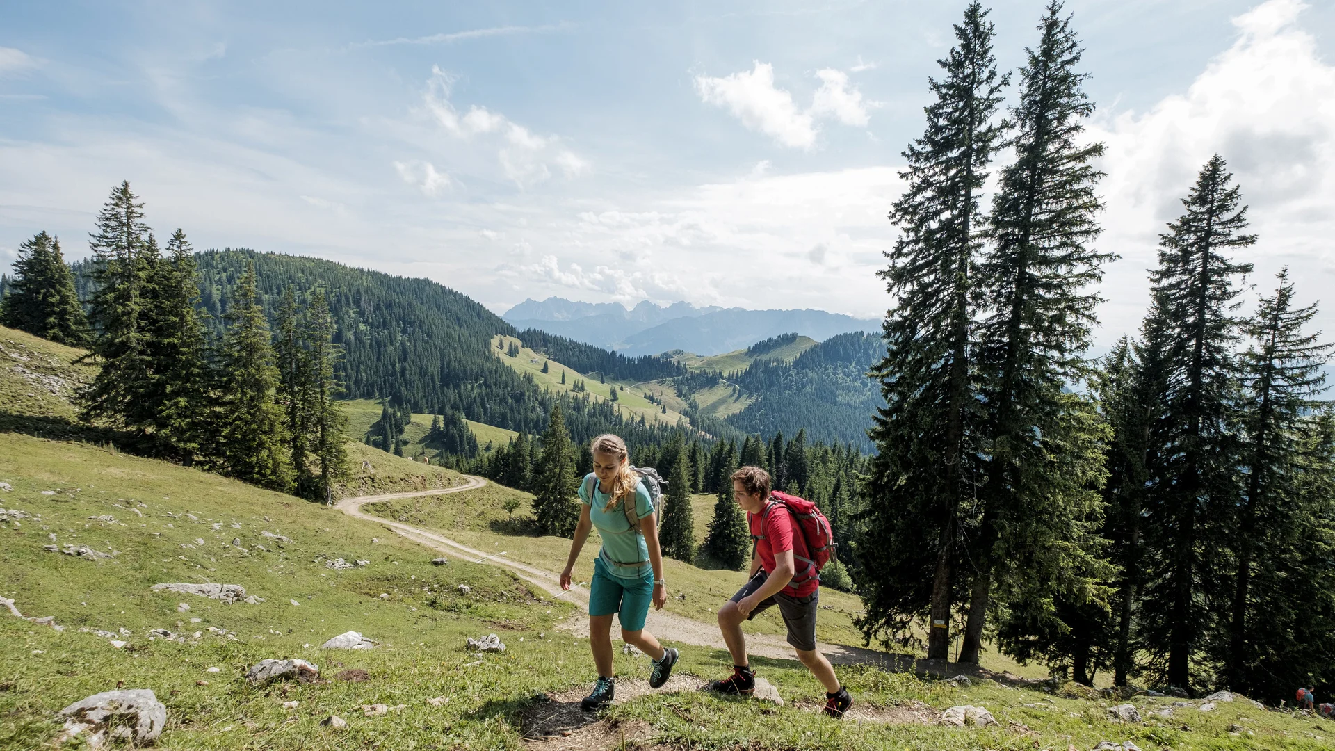 Wandern in den Chiemgauer Bergen | © DAV/Hans Herbig Zwei Wanderer auf einem Bergpfad in den Chiemgauer Alpen | © DAV/Hans Herbig