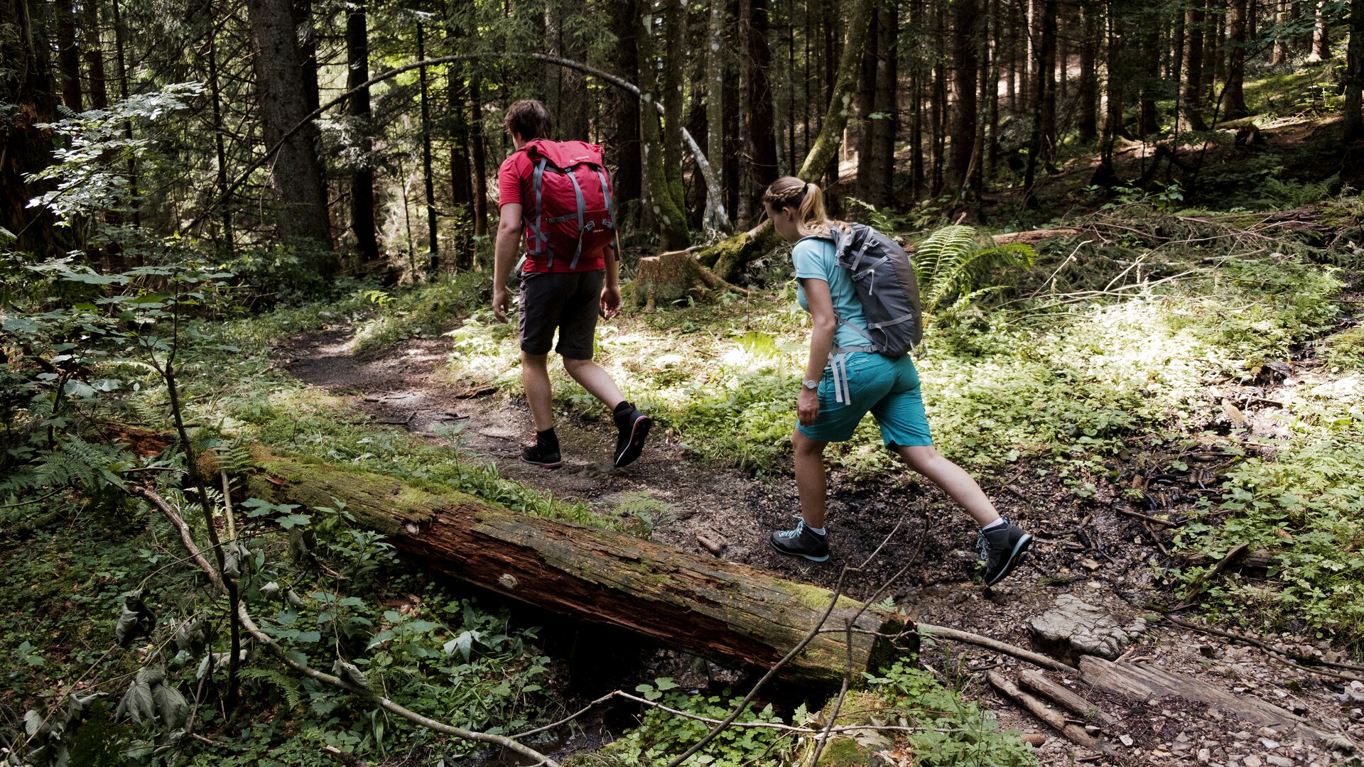 Wandern in den Chiemgauer Bergen | © DAV/Hans Herbig Zwei Wanderer auf dem Weg durch einen Wald | © DAV/Hans Herbig