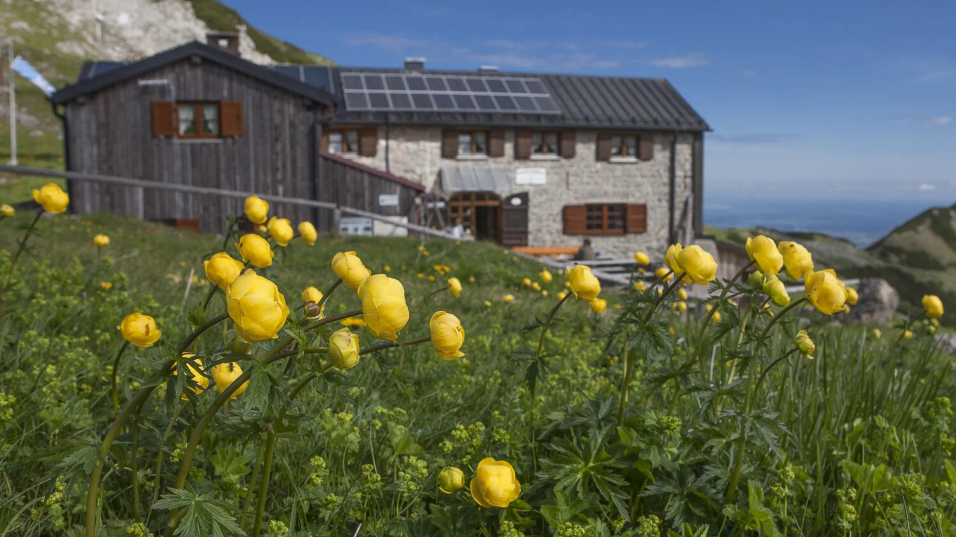 Weilheimer Hütte im Sommer | © DAV/Christian Weiermann Weilheimer Hütte im Sommer - im Vordergrund Trollblumen | © DAV/Christian Weiermann
