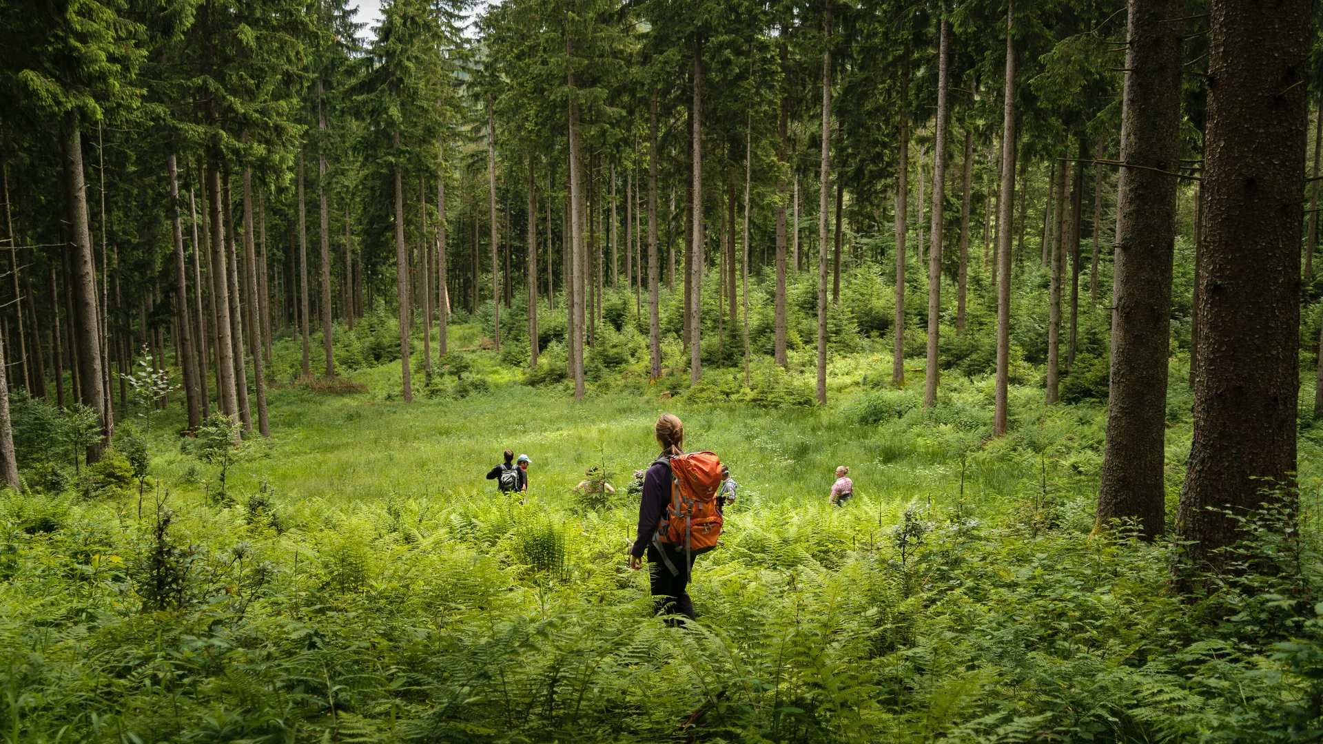 Aktion Schutzwald | © 	DAV/Arvid Uhlig